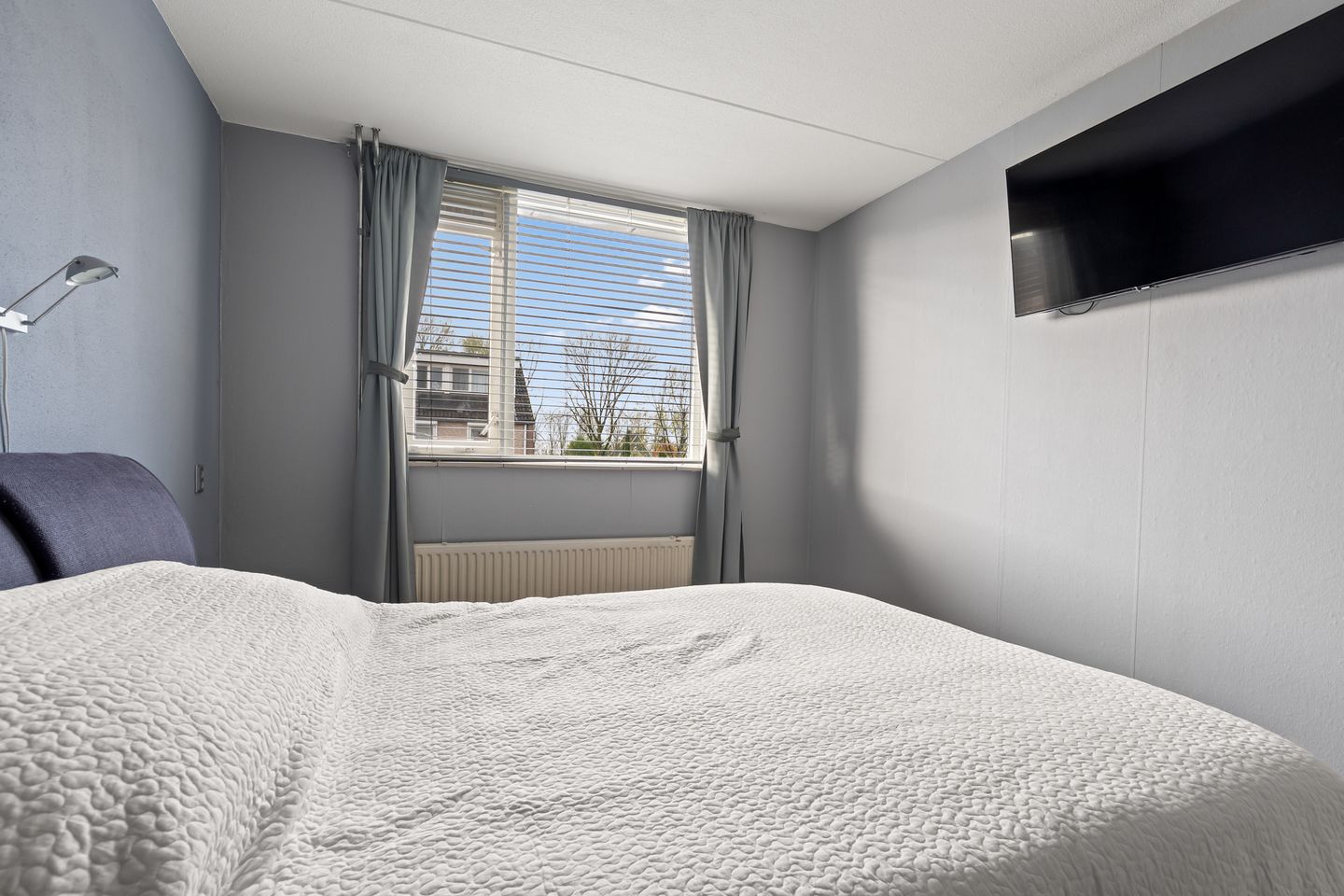 Foto 29 van Kwartelkoning 2