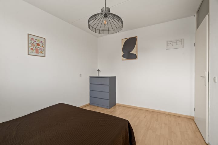 Photo 31 of Kwartelkoning 2