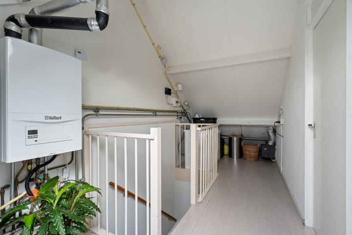 Photo 38 of Kwartelkoning 2