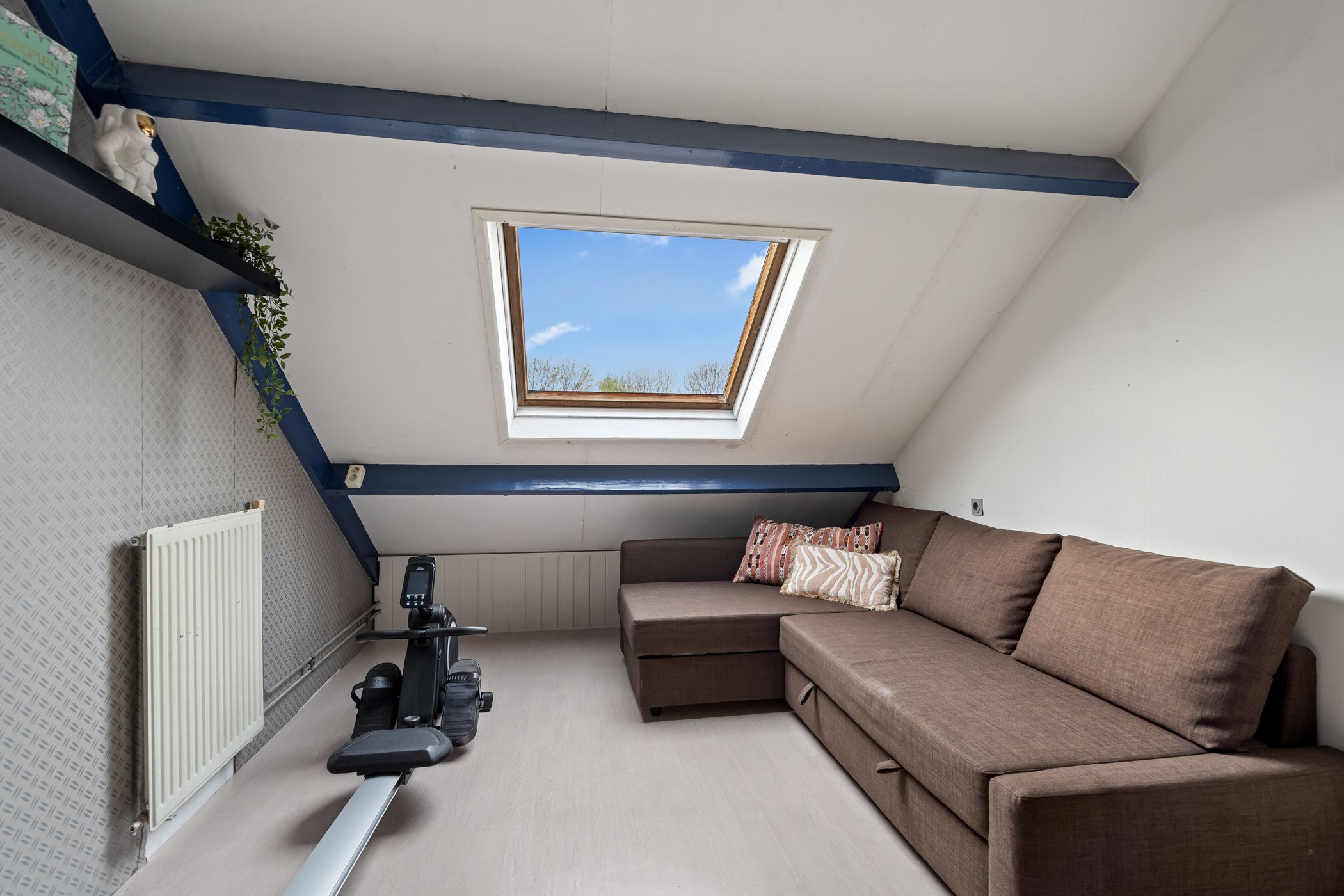 Foto 42 van Kwartelkoning 2