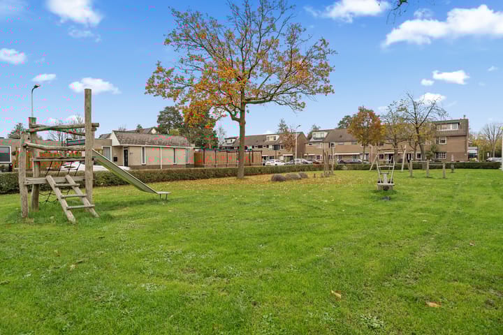 Photo 44 of Kwartelkoning 2