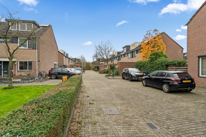 Photo 45 of Kwartelkoning 2