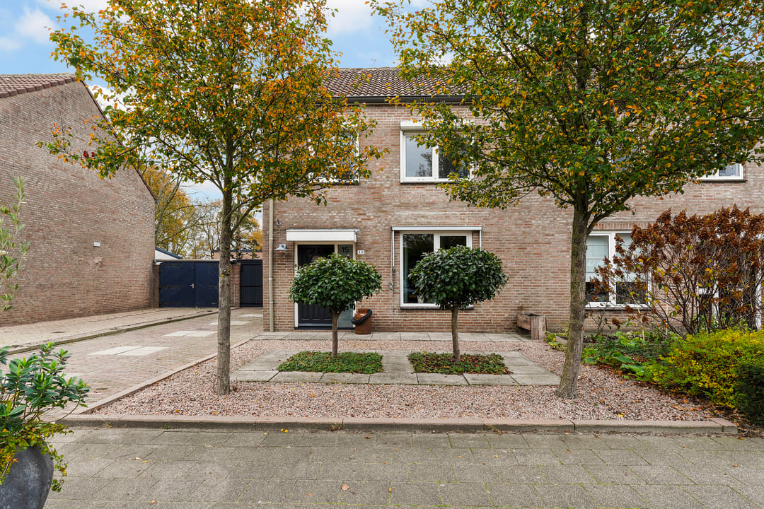 Foto 32 van Ranonkel 15