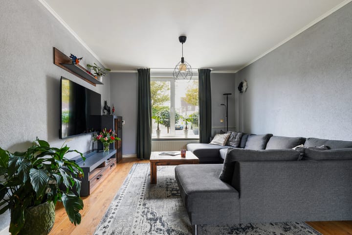 Photo 6 of Ranonkel 15