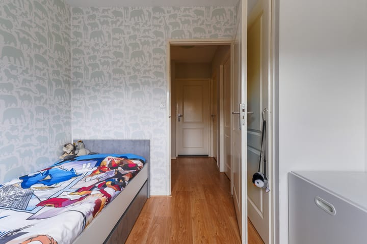 Photo 18 of Ranonkel 15