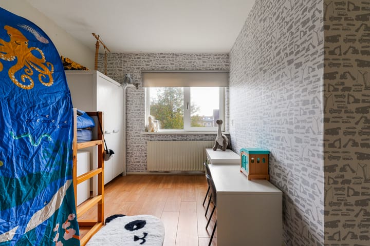 Photo 19 of Ranonkel 15