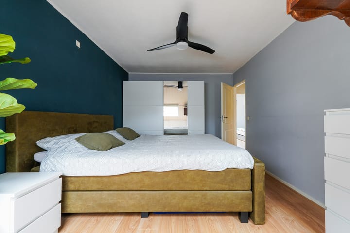 Photo 20 of Ranonkel 15