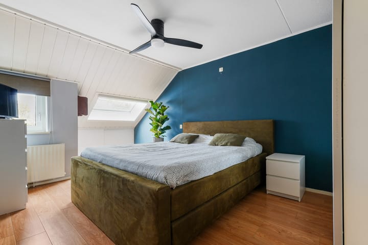 Photo 21 of Ranonkel 15