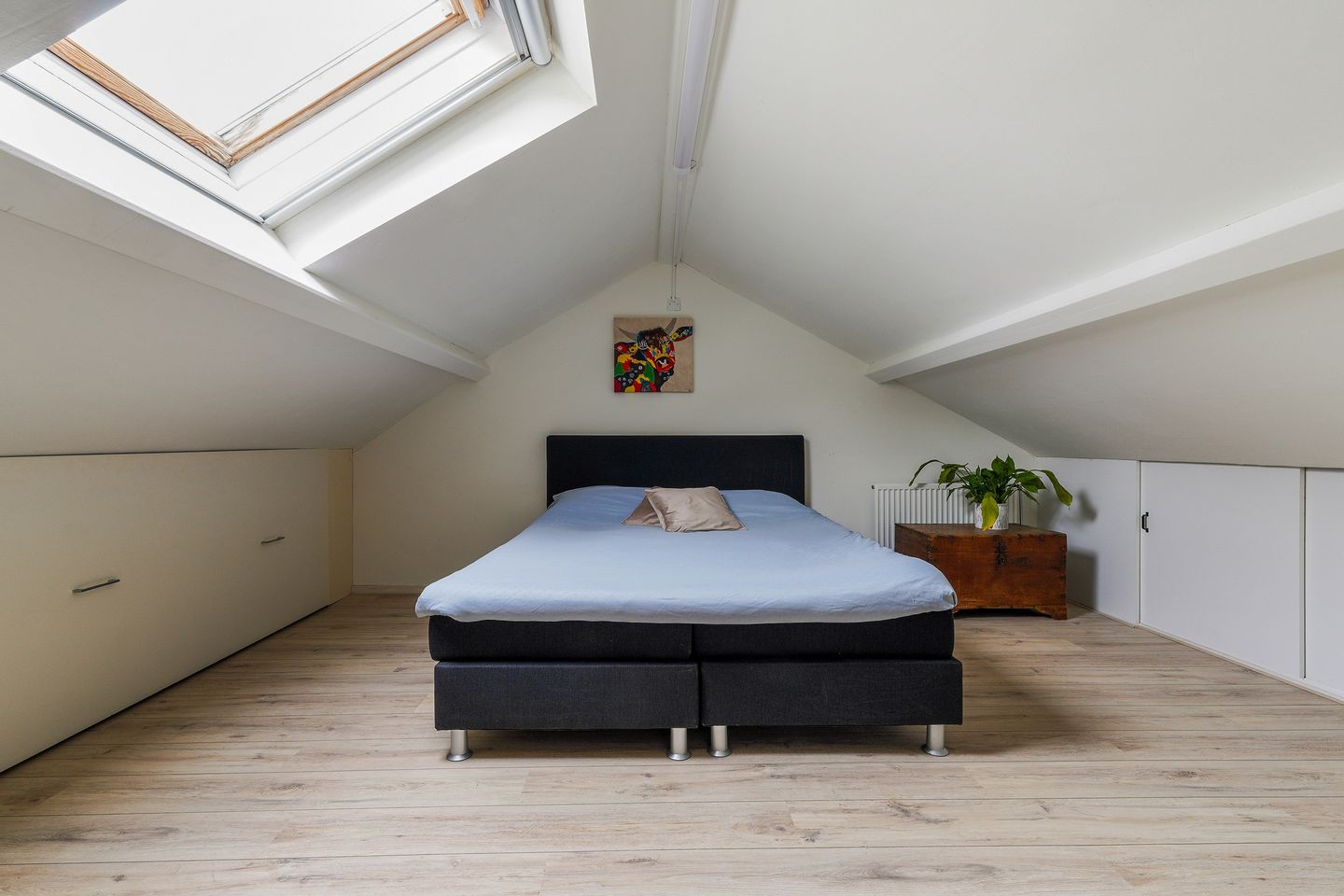 Foto 25 van Ranonkel 15