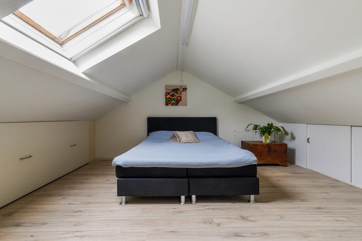 Photo 28 of Ranonkel 15