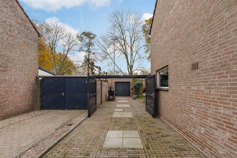 Ranonkel 15 secondary image