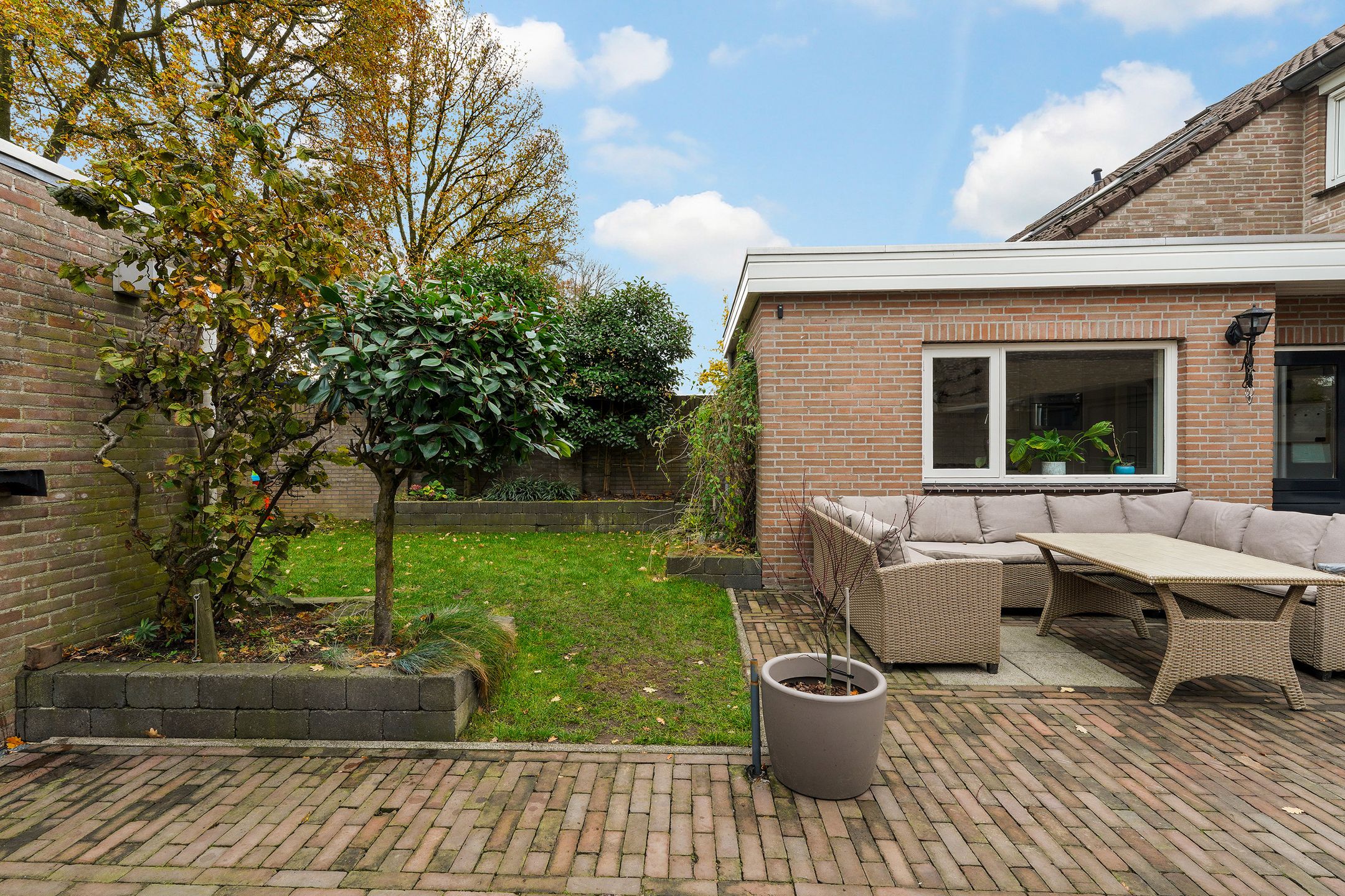 Foto 27 van Ranonkel 15