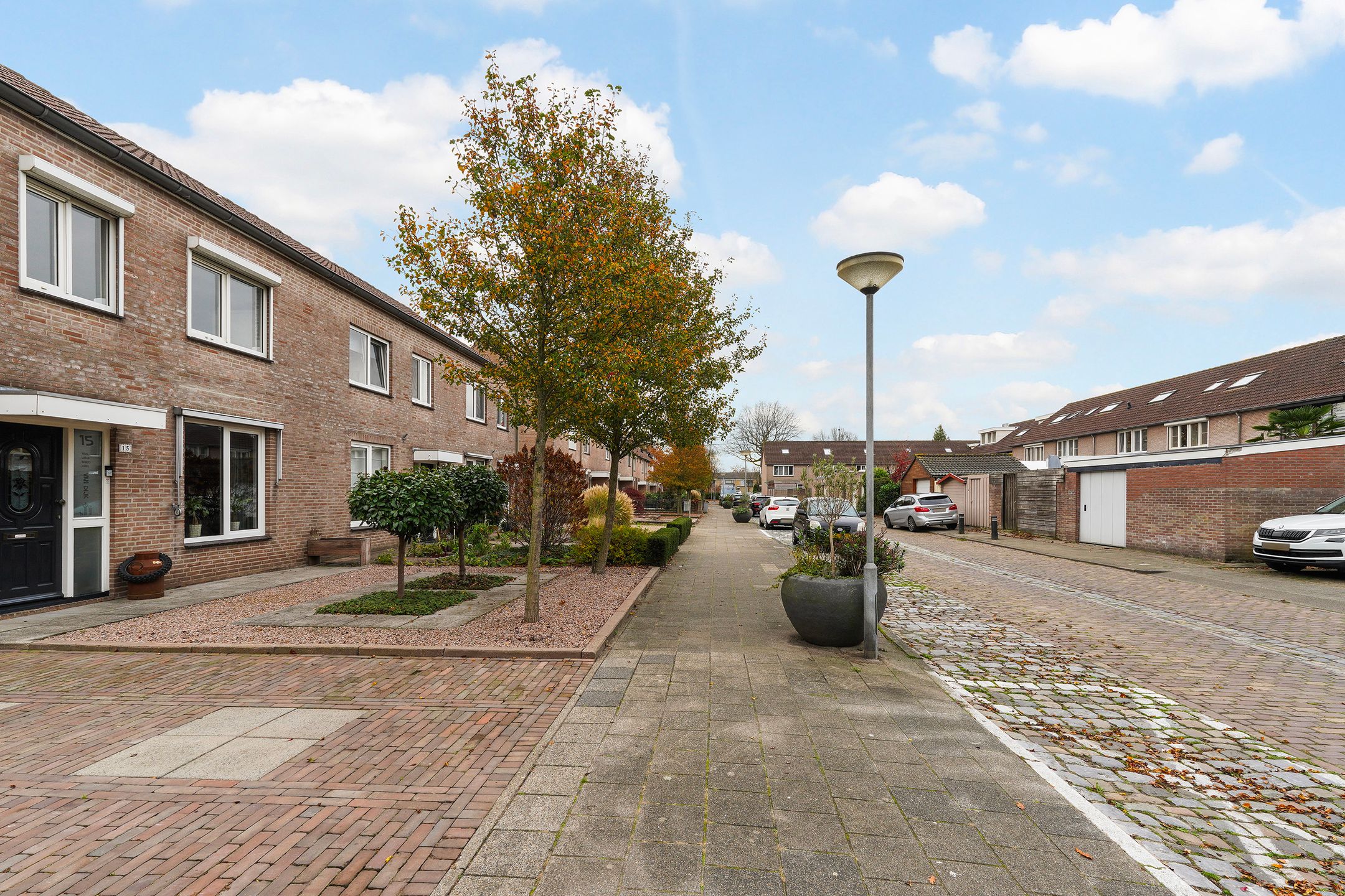 Foto 33 van Ranonkel 15