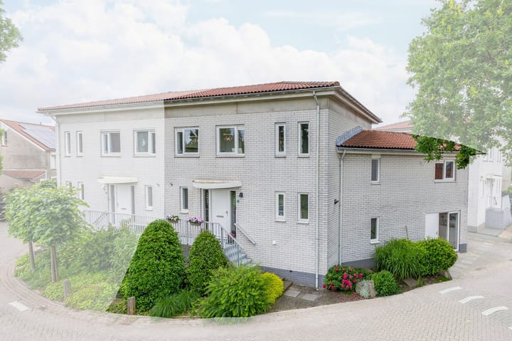 De Terp 20 main image