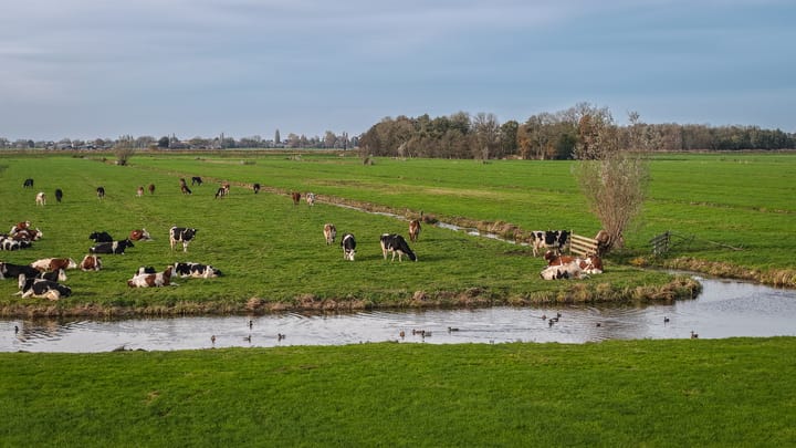 Photo 51 of Brandwijksedijk 39