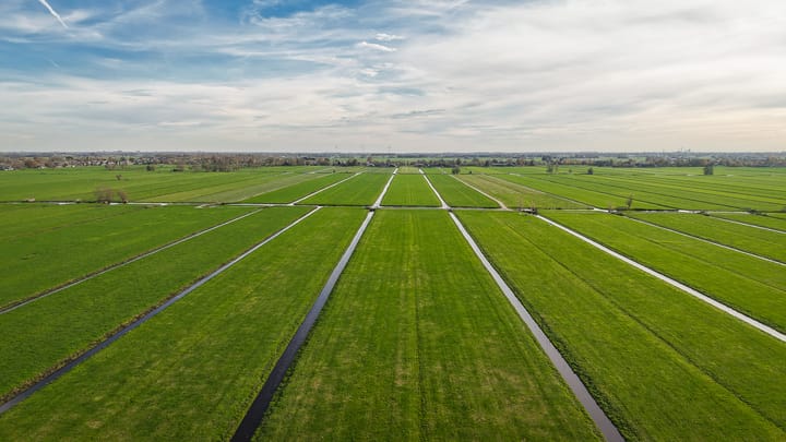 Photo 52 of Brandwijksedijk 39