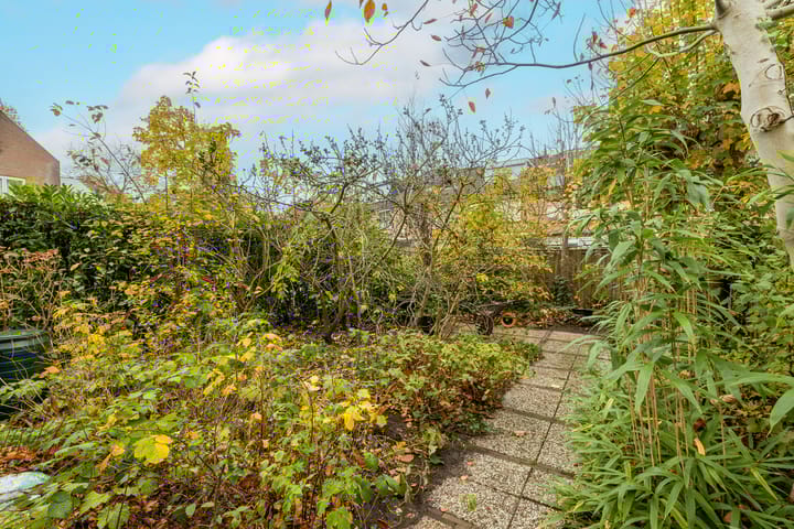 Photo 52 of Zwaluw 3