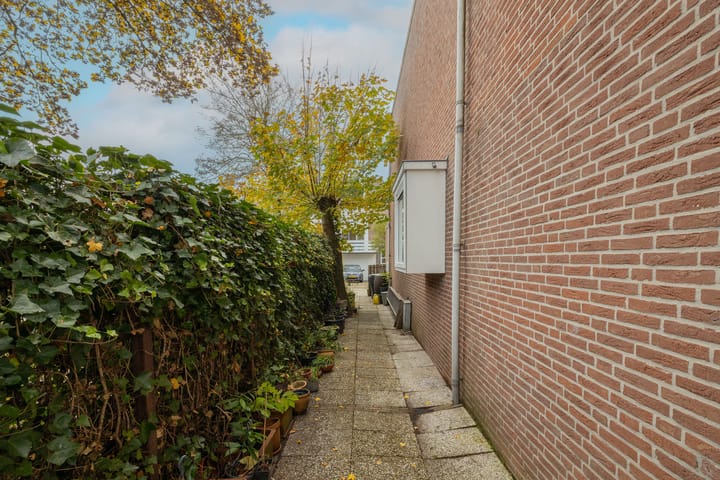 Photo 54 of Zwaluw 3