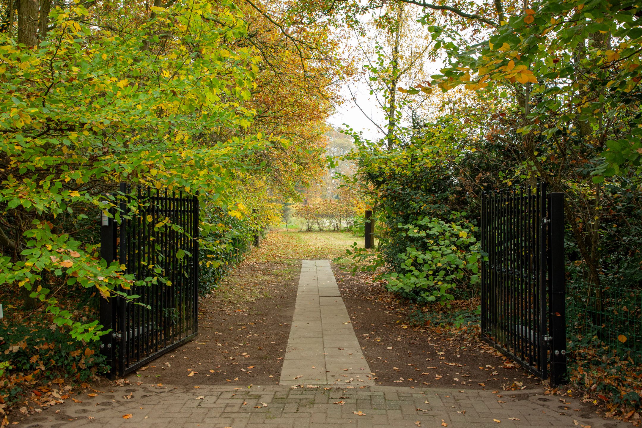 Photo 39 of Kobstederweg 8-A
