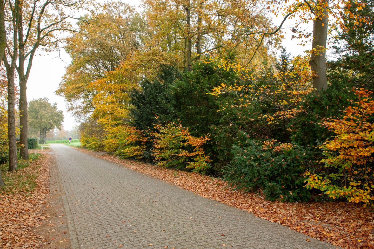 Photo 44 of Kobstederweg 8-A