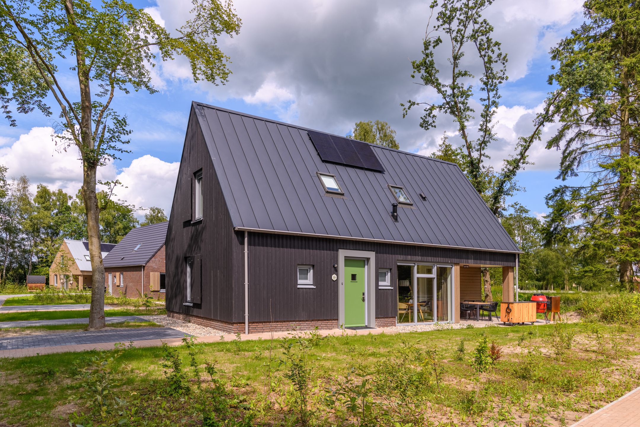 3-bedroom freehold villa in Gasselte — photo 4 of 5