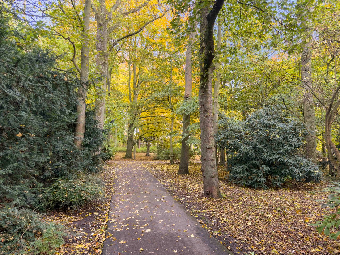Photo 35 of Burgemeester Struijkstraat 38