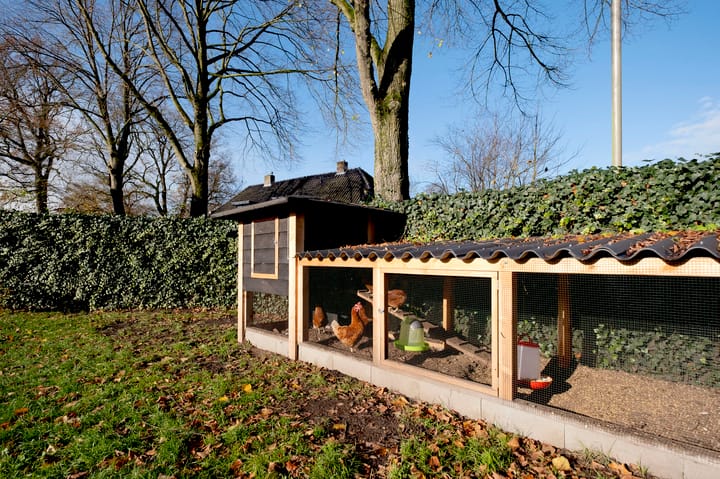 Photo 53 of Dwarsweg 1