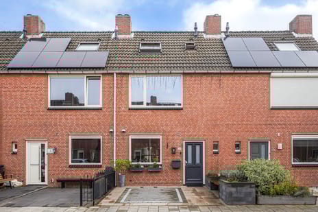 Heliotroop thumbnail