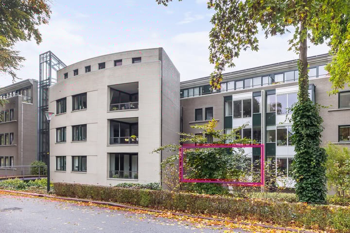 Amphion 66 main image