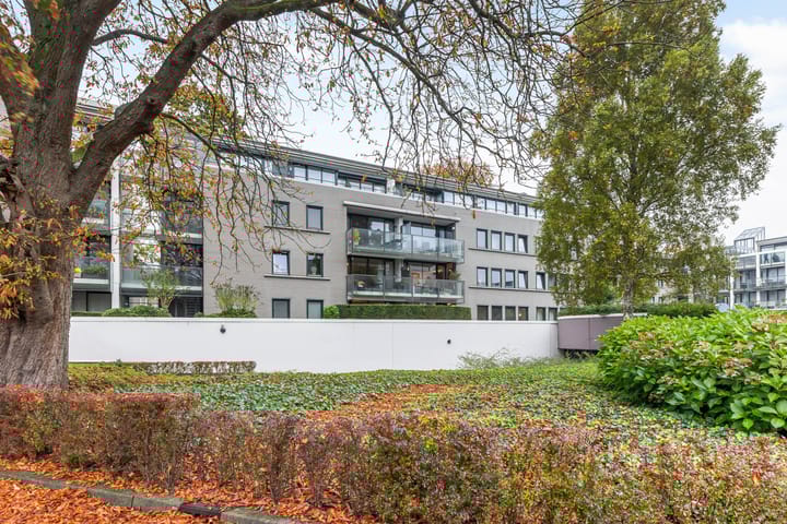 Foto 34 van Amphion 66