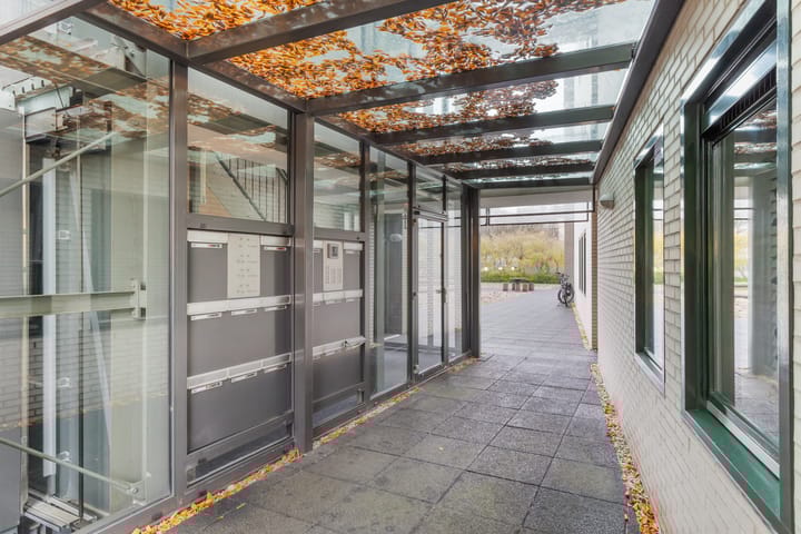 Foto 37 van Amphion 66