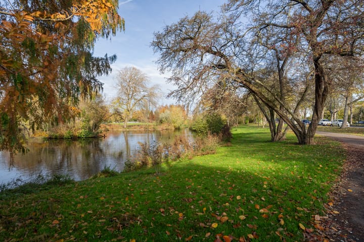 Photo 37 of Julianasingel 7-A