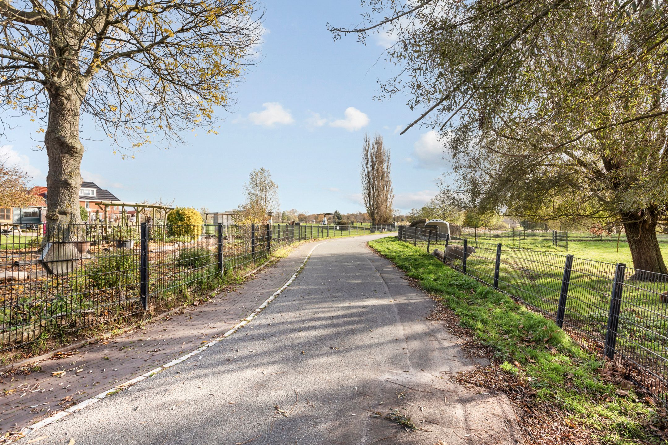 Foto 42 van Voorstondenstraat 50