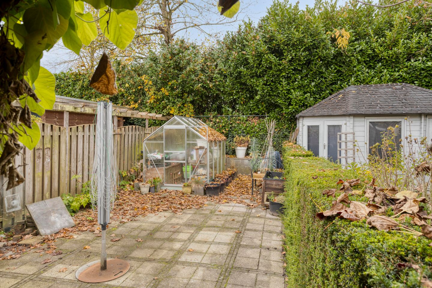 Photo 29 of Anjelier 16