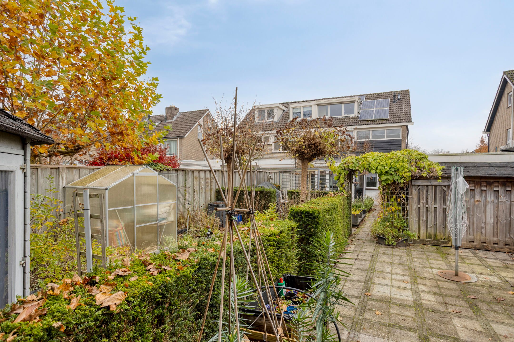 Photo 30 of Anjelier 16