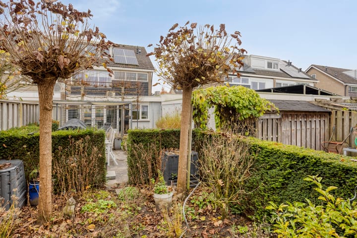 Photo 31 of Anjelier 16