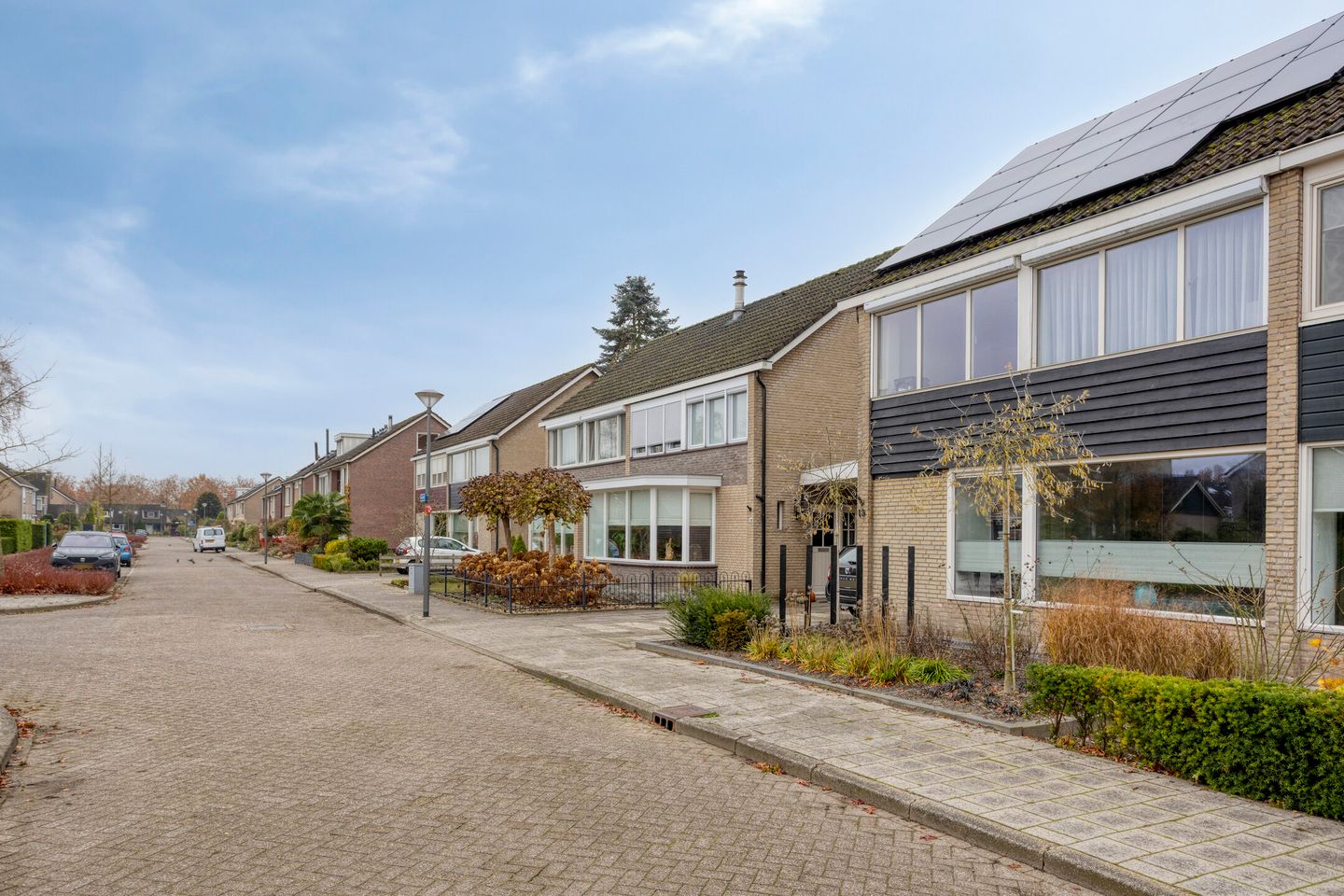 Photo 34 of Anjelier 16