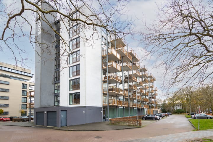 Foto 10 van Kaap Hoorn 17