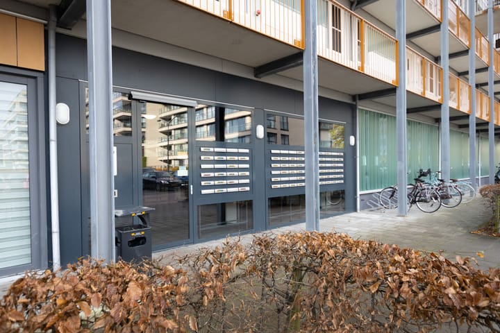 Foto 11 van Kaap Hoorn 17