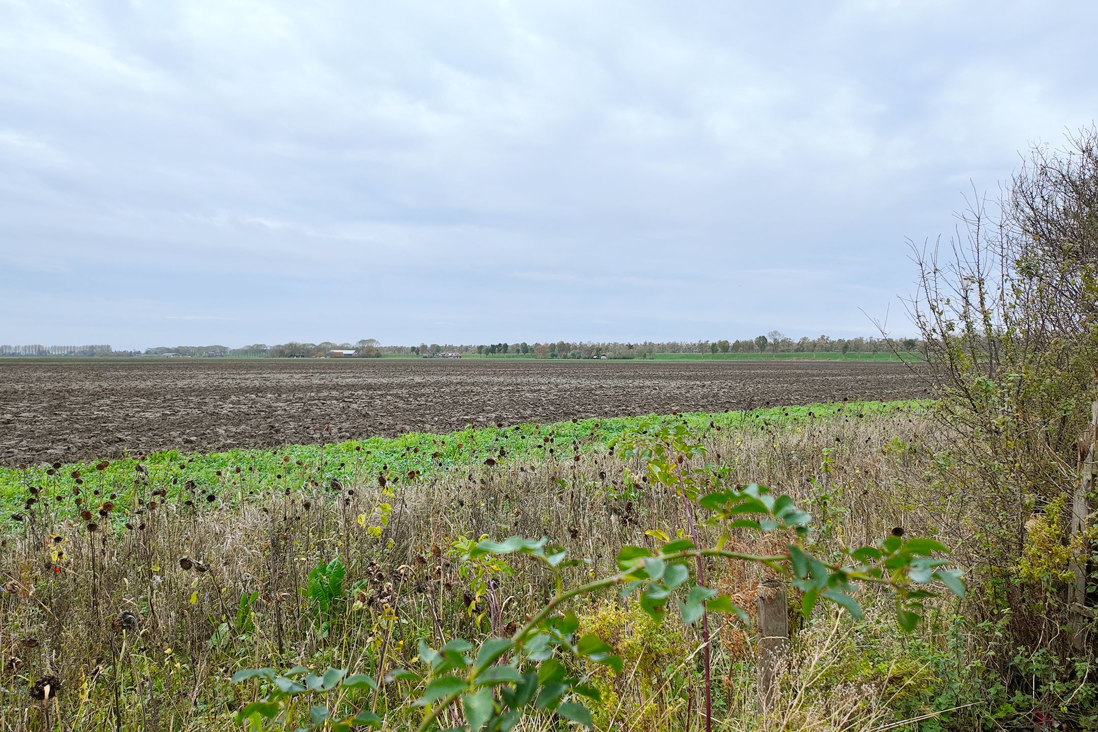 Foto 72 van Noordschans 11