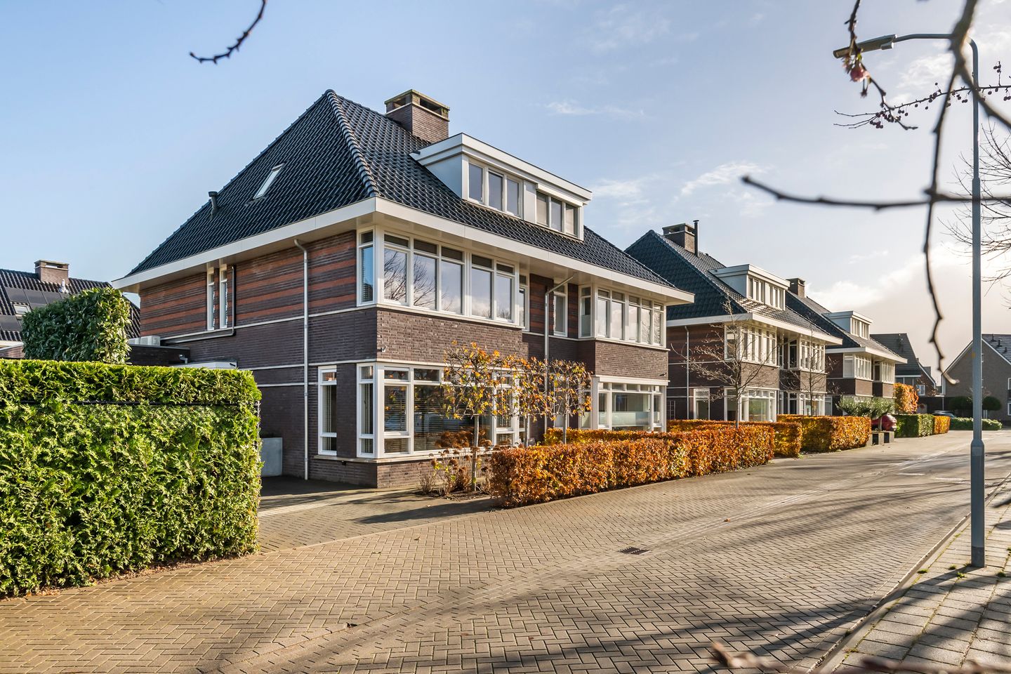 Foto 5 van Grote Vuurvlinder 25