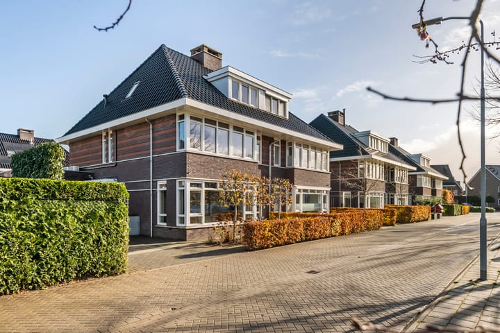 Foto 5 van Grote Vuurvlinder 25