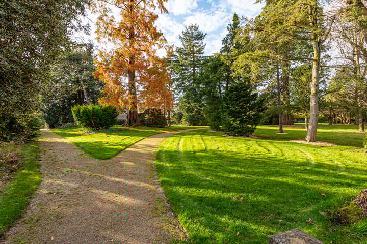 Photo 40 of Piet Heinlaan 22