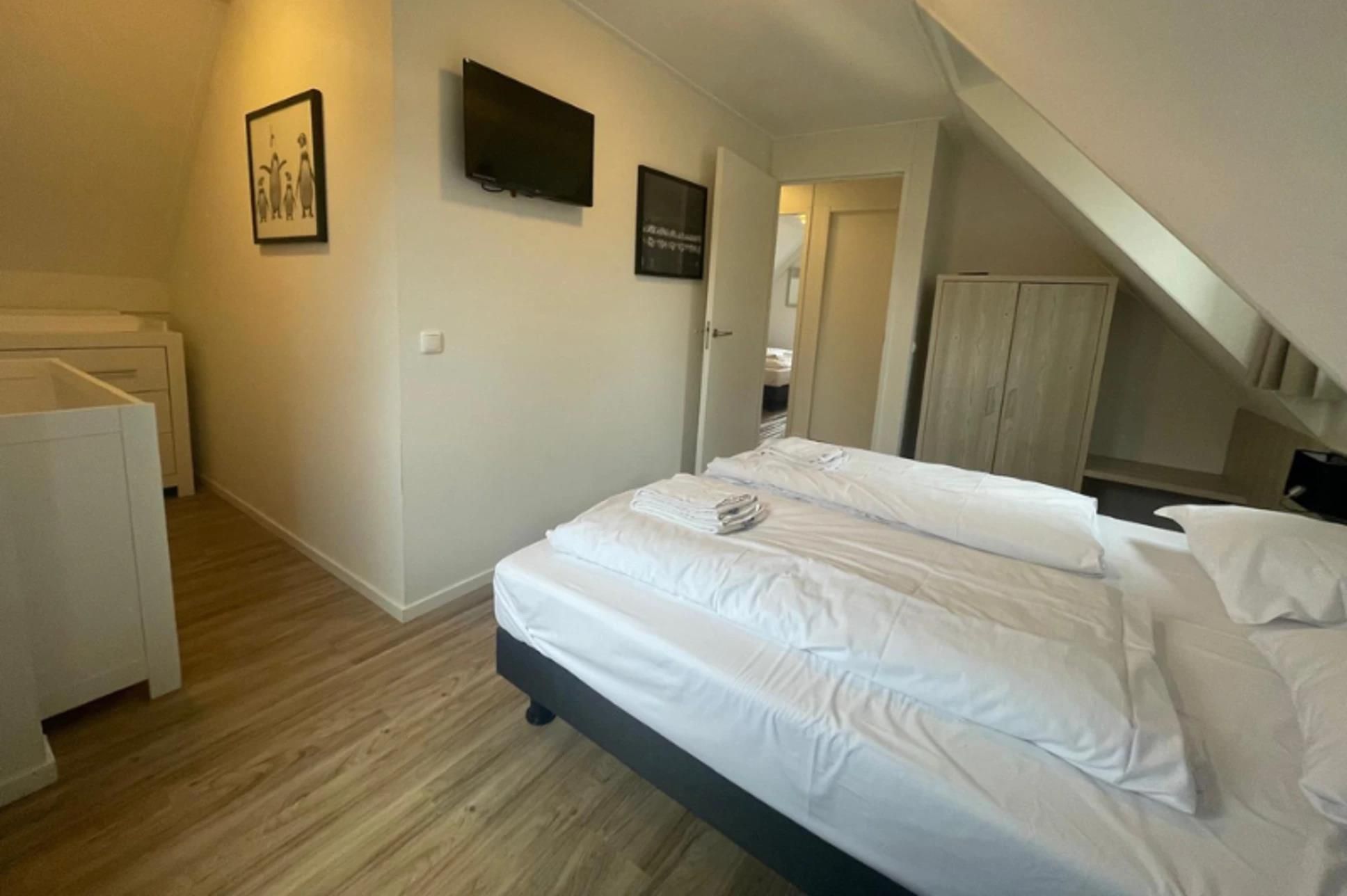 Photo 9 of Spinola 14