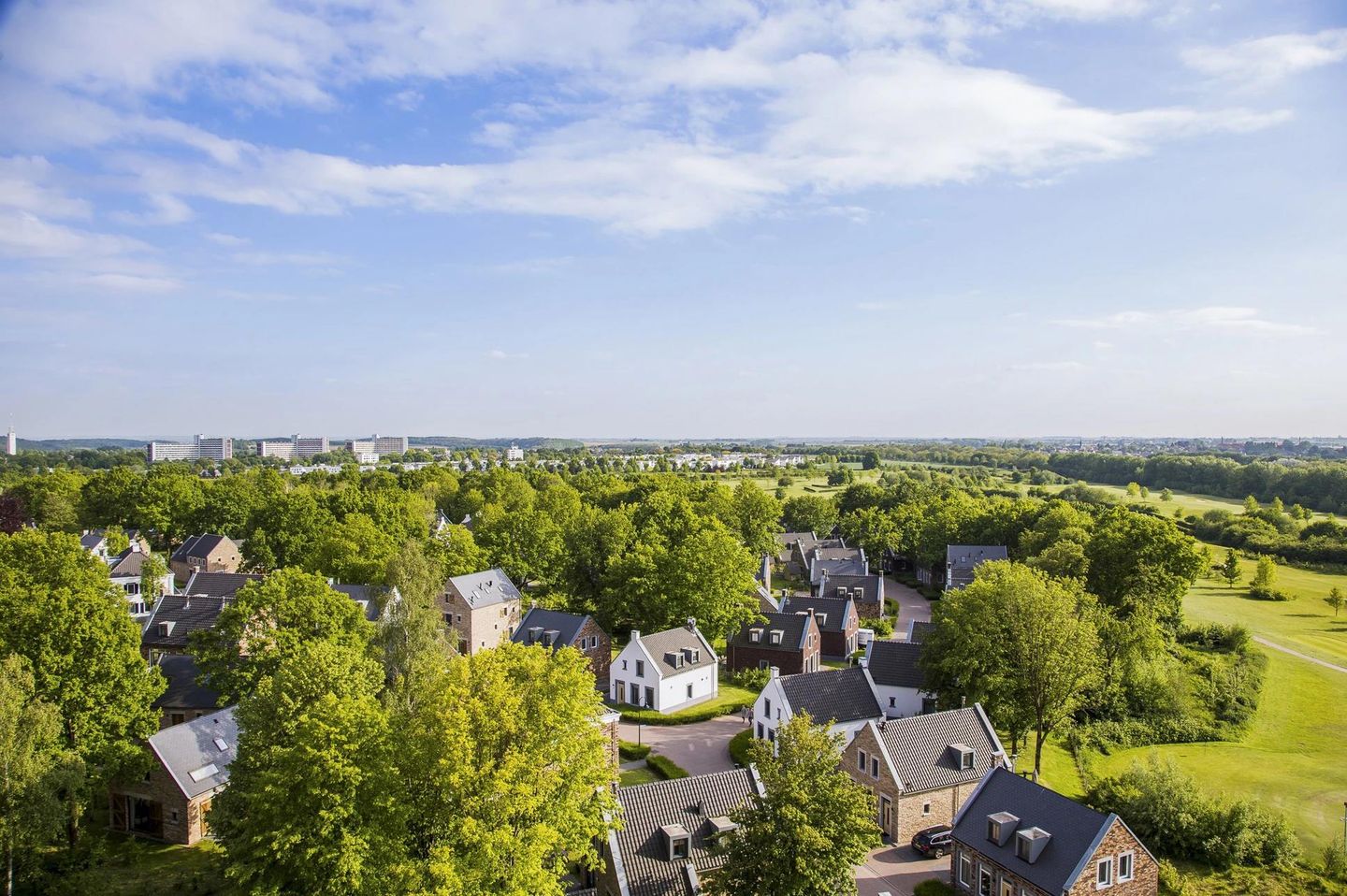 Photo 10 of Spinola 14