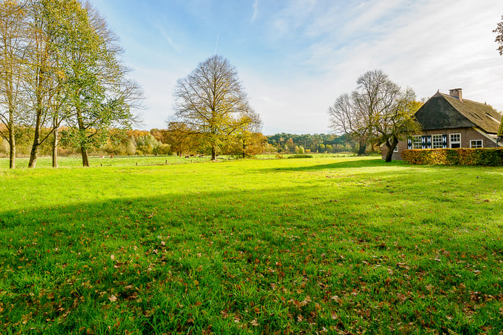 Photo 13 of Marsweg 2