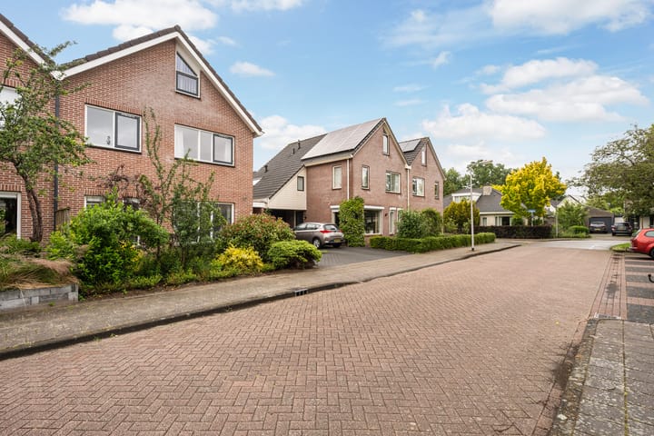 Foto 41 van Snellenerf 14