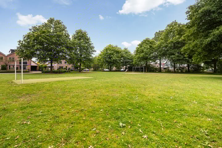 Foto 42 van Snellenerf 14