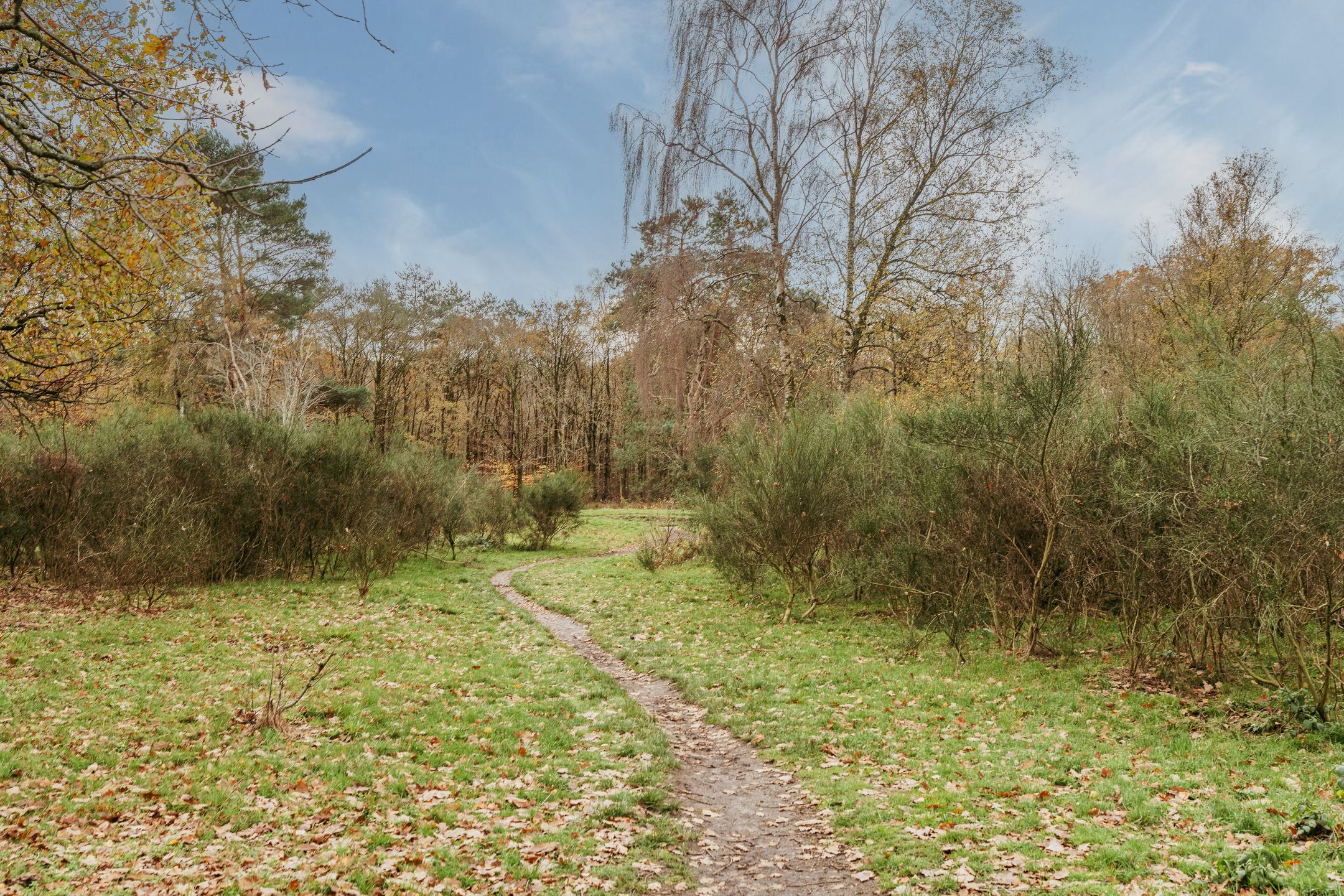 Photo 21 of Admiraal de Ruyterlaan 181