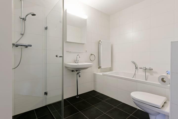 Photo 3 of Frans Hals 9